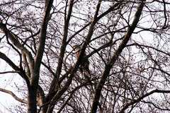 Killikus&reg; Fotographie